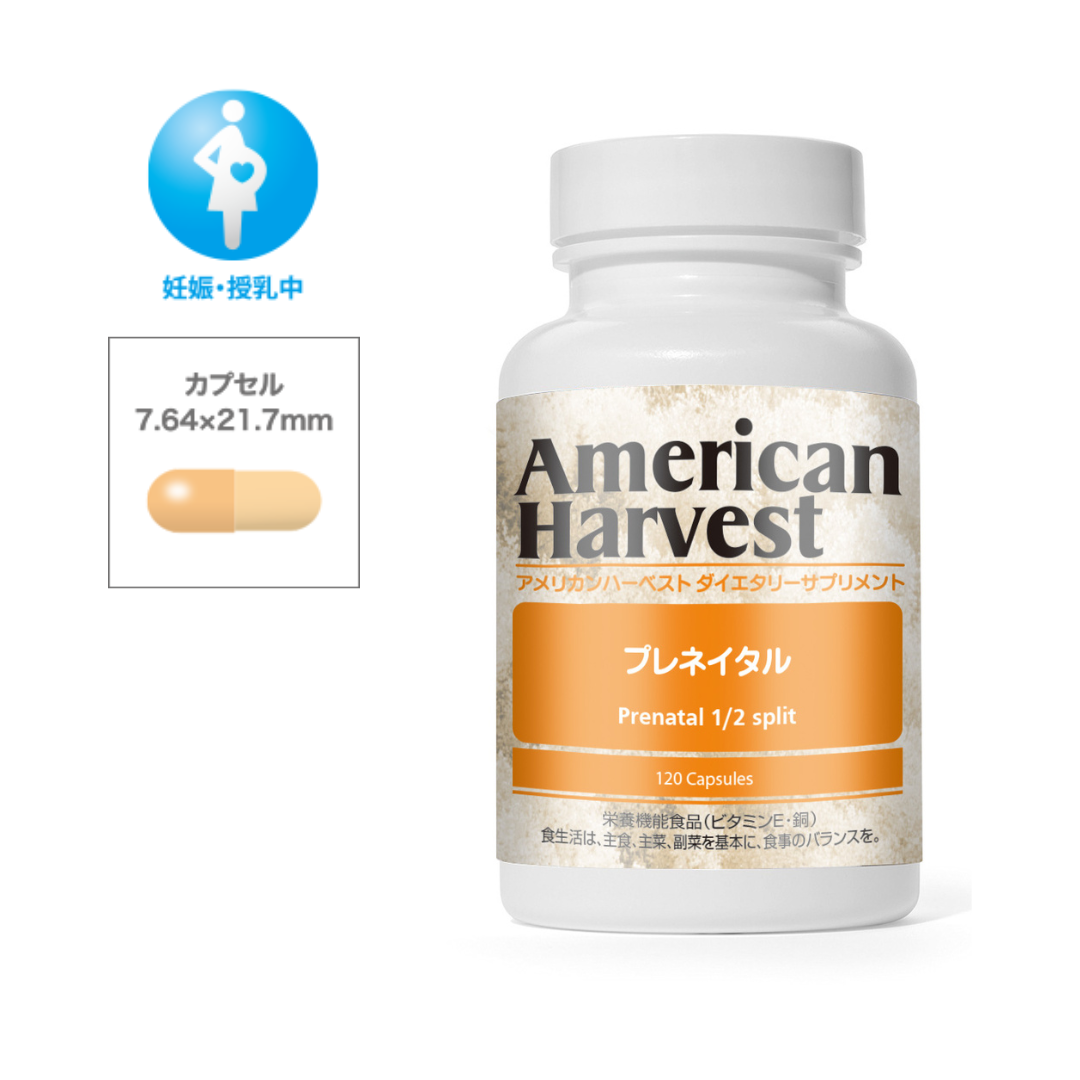 メタプラネット株主総会土産　プレミアダルマ付き メタプラネット株主総会土産 プレミアダルマ付き