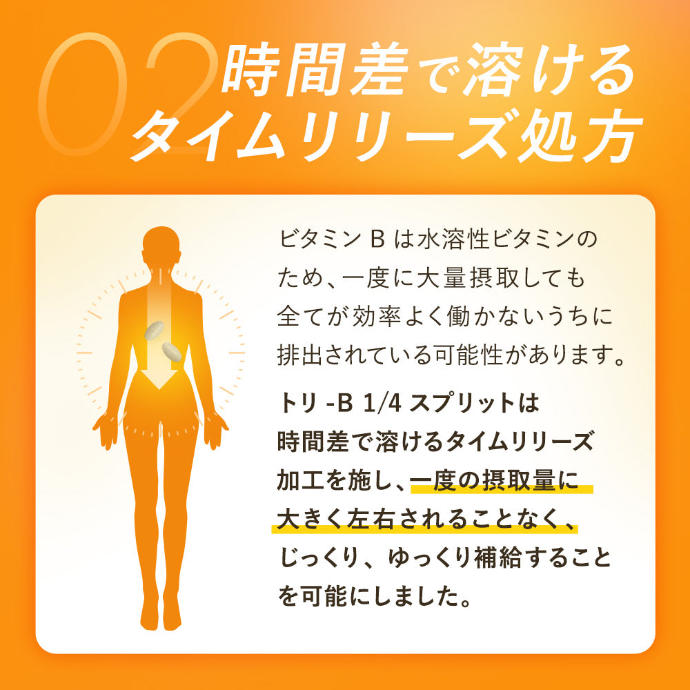 トリ-B 1/4スプリット