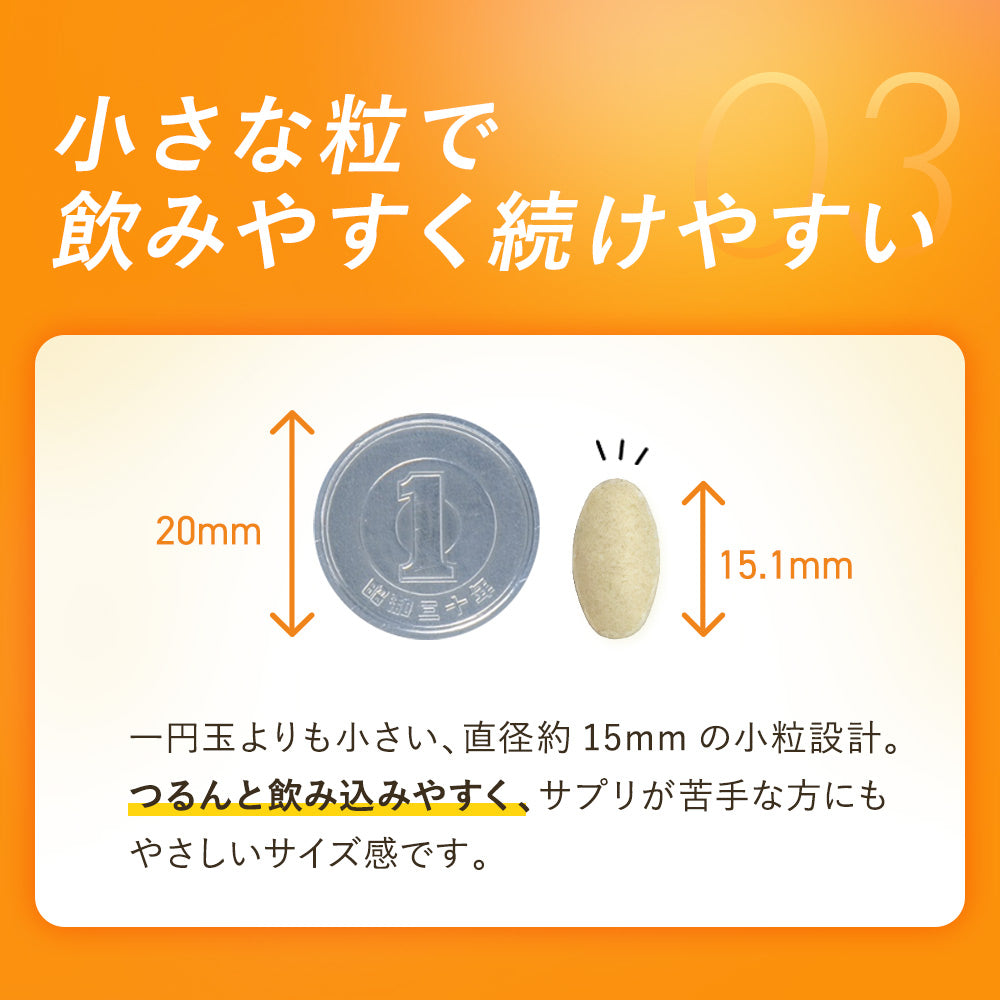 トリ-B 1/4スプリット