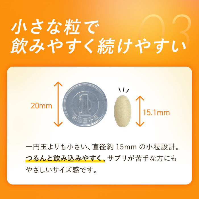 トリ-B 1/4スプリット×3個セット